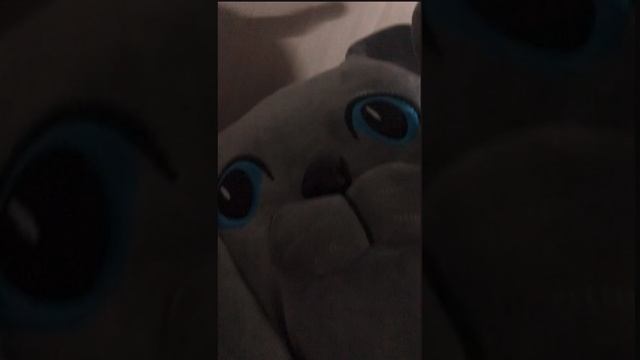 Котошарик