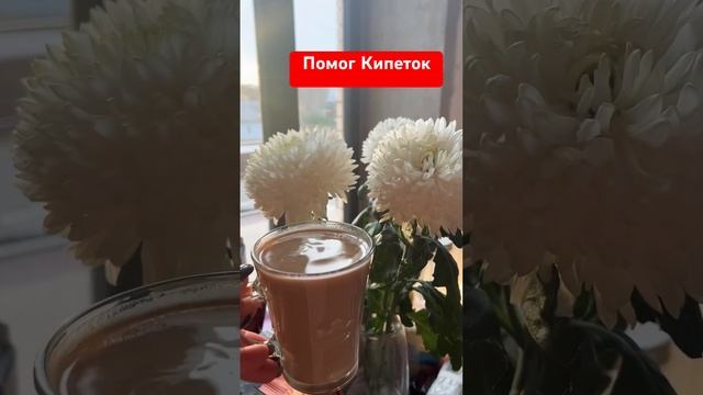 Натусик, благодарю  #юмор #чихуахуа #дуэт #собака #собакаулыбака #cat #приколысживотными #смешные