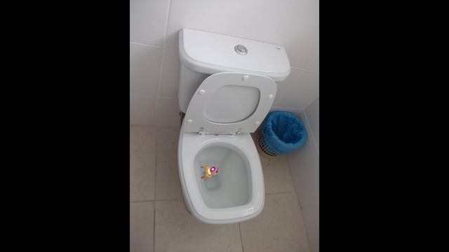 How to use the New Chamber? - Valorant India parody guide