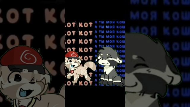 кот и кошка 🐱