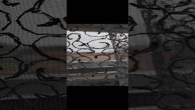 100 000 лайков и я стану популярной так что пожалуйста подарите мне их, а я в замен вам подарю видео