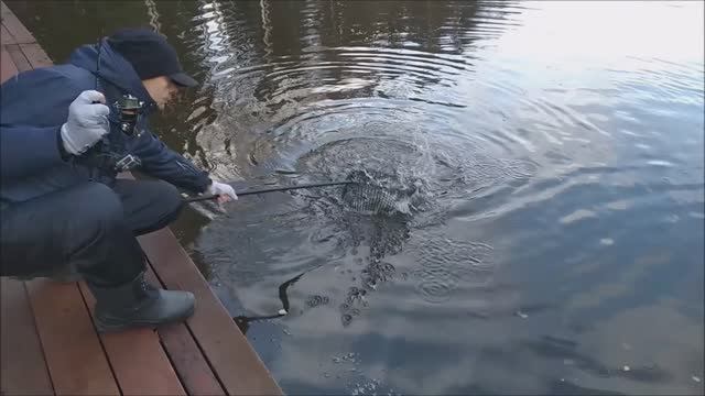 На запуске работают блёсны. Спорт-зона. Клёвое место Лосиный остров.