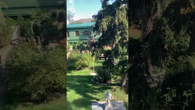 Дача Сталина Сочи.