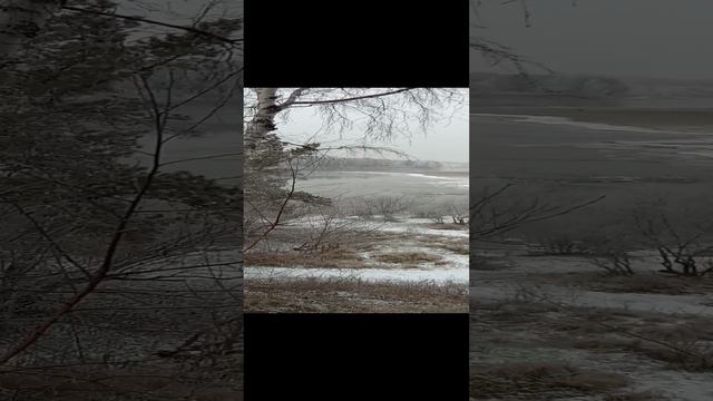 1000075541.mp4