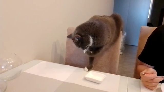 1000003899.mp4