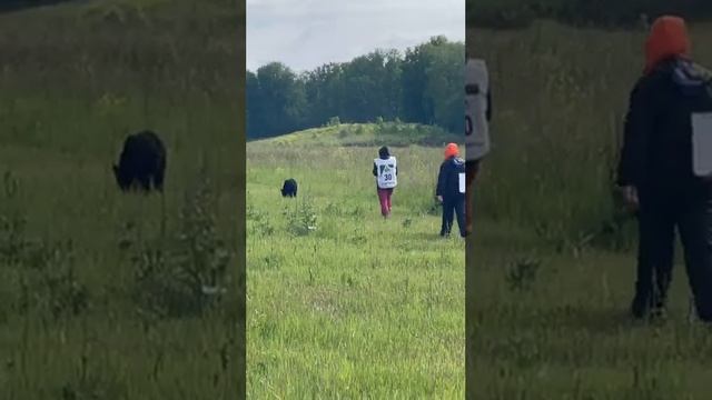 Шерлок след  ИГП -3  прокладчик Е. Калямов.