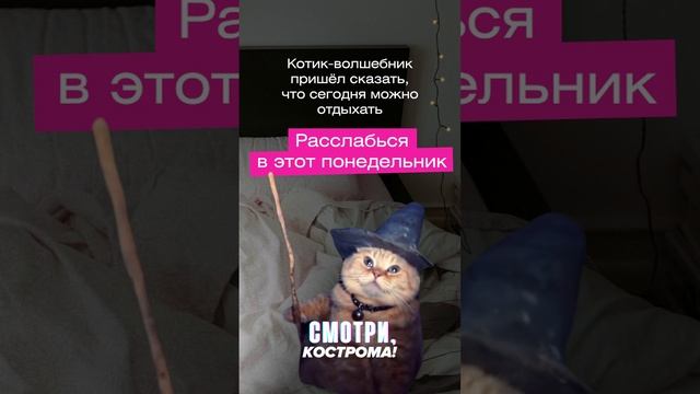 отдохни с котиком.mp4