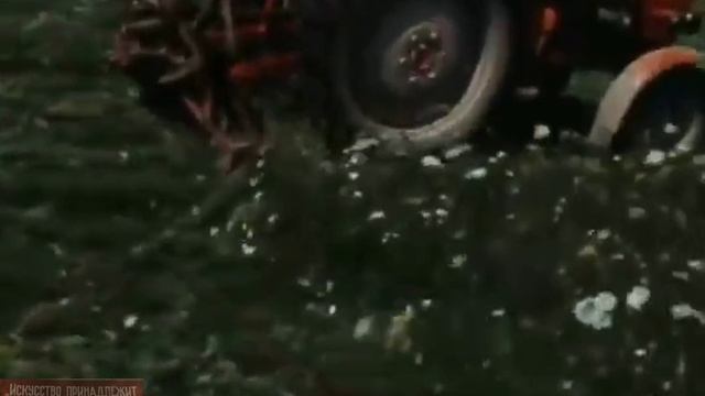 В краю Мещерском.  (1976)