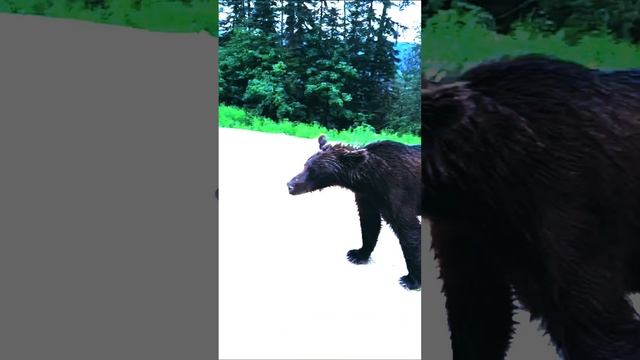 2024-10-12-182538388.mp4
