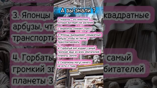 А вы знали? #интересныефакты
