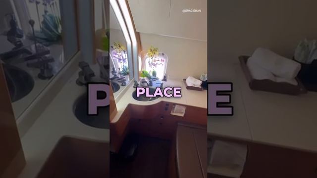 Сразу несколько западных авиакомпаний отказали стримерше в авиаперелетах