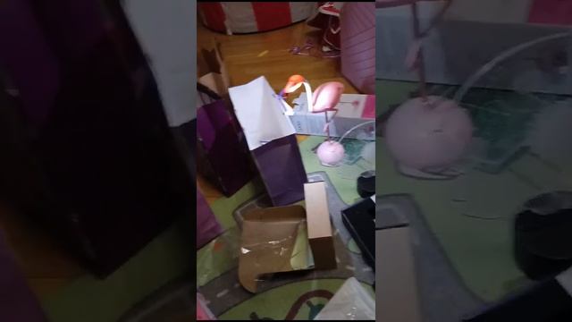 1000006383.mp4