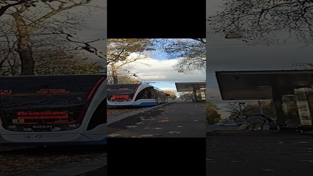 Остановка "Осень"