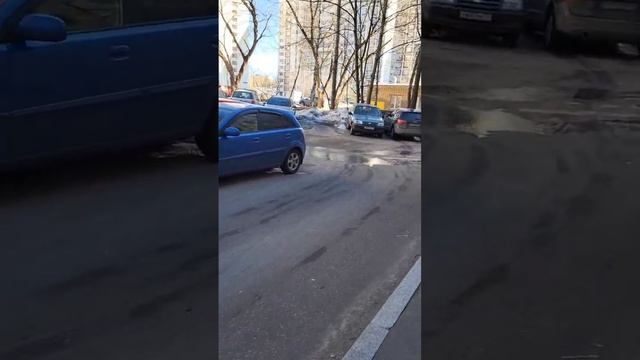 Везем ошейники от блох, Вторая доставка 18 марта с достависта #достависта #доставка #работа