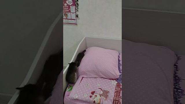 Кому скучно живётся?!?