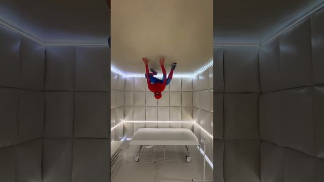 The Amazing Spider-Man