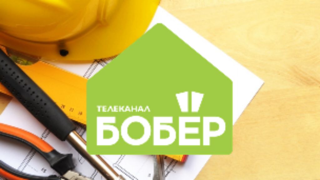 бобёр прямой эфир