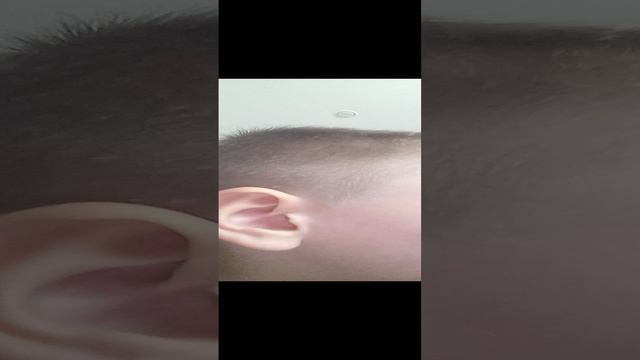 VID_20241110_111454.mp4