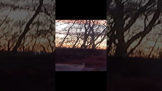 1000021411.mp4