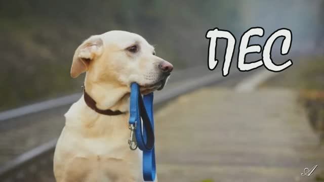 ПЕС