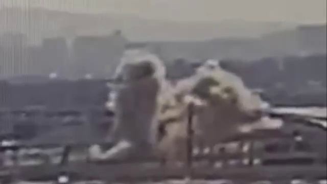 ❗🇱🇧🇮🇱 Сообщается о масштабной атаке «Хезболлы» на Тель-Авив !!!