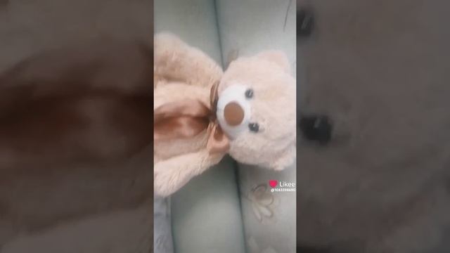Like_7435587661966228216.mp4