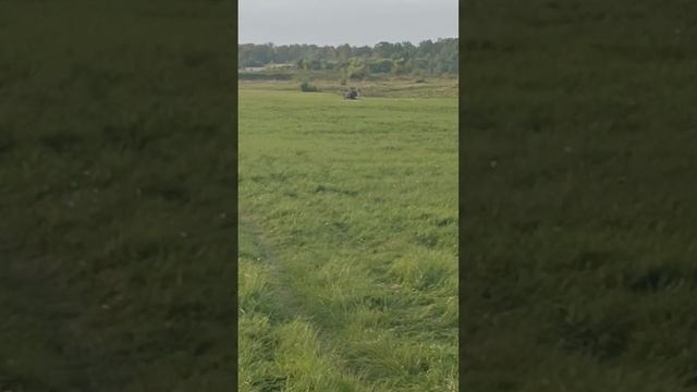 VID-20240829-WA0042.mp4