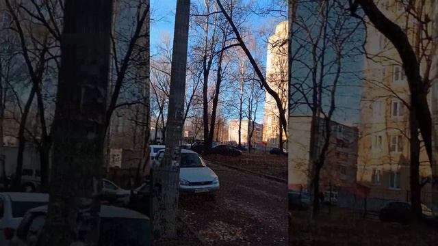 1000010650.mp4