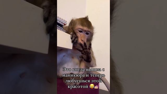 Вышла из маникюрной