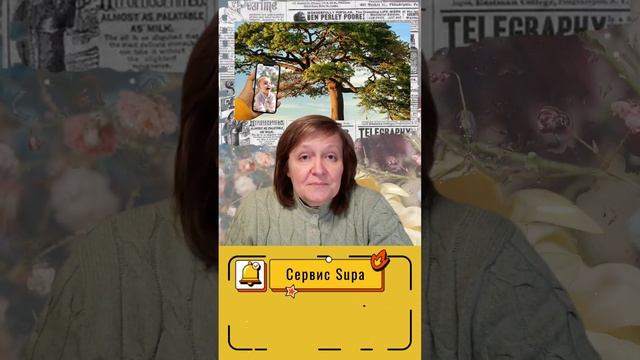 Как использовать мокап в Supa #валентина_ткачева #монтажвидео