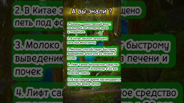 А вы знали? #интересныефакты
