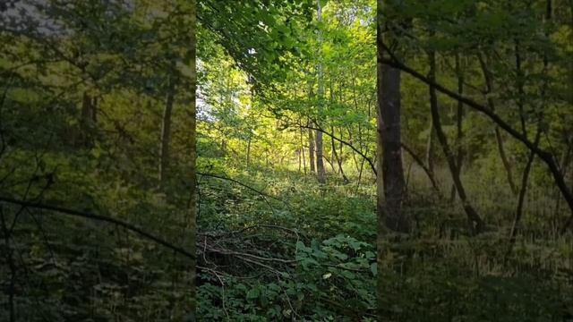 В природе нет ничего бесполезного
