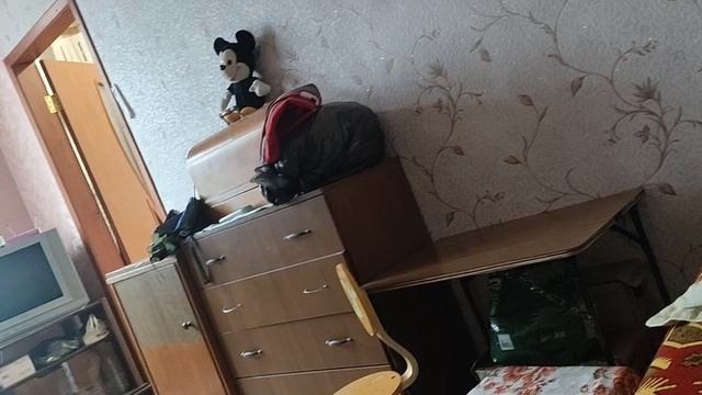 video_20241110_112402