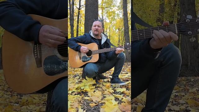 ОСЕНЬ, ОСЕНЬ, НУ ДАВАЙ У ЛИСТЬЕВ СПРОСИМ... 🍁🍂🍁 #осень #листья #Лицей #ЯлюблюГитару #АнтонХолкин