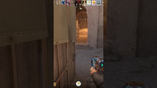 Zeus24111007