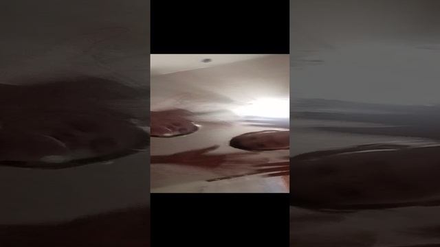 VID_20241110_163552.mp4