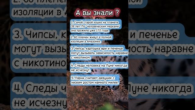 А вы знали? #интересныефакты #любовь
