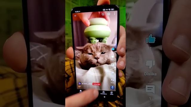 мои видео ломаются когда ты делаешь это?