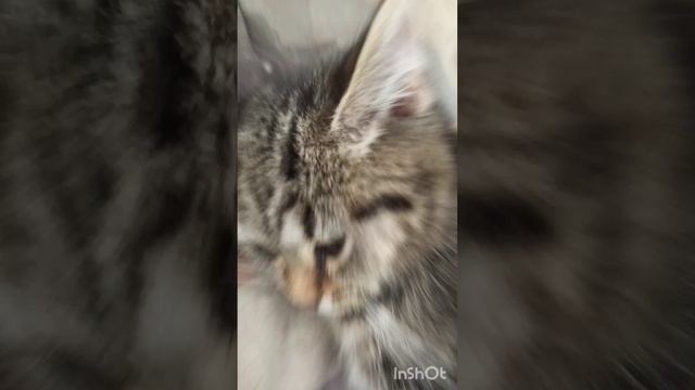 Федя