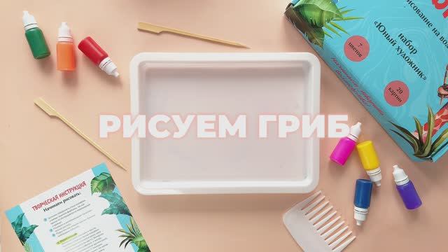 Грибы