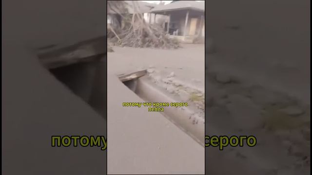 Левотоби