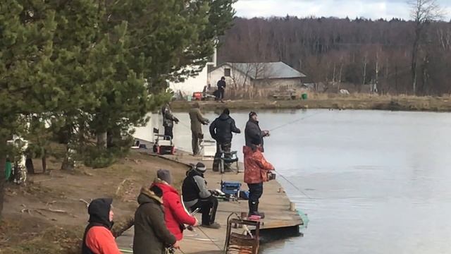 Поимка форели на малом водоёме