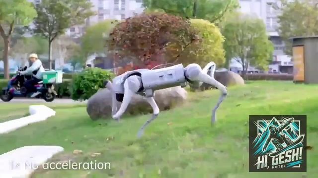 Роботы созданные в компании Unitree Robotics из Ханчжоу проходят юстировку