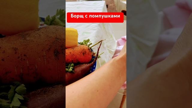 Борщ с помпушками #собака #собакаулыбака #чихуахуа #животные #топ #собаки #прикол #юмор #love
