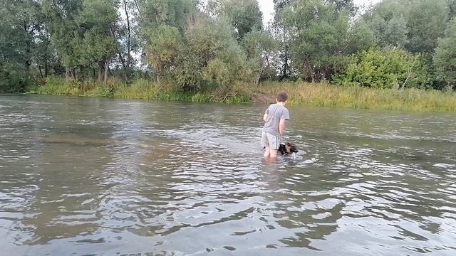 VID_20230827_195322.mp4