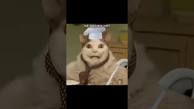 первое видео