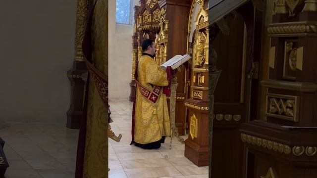 Диакон Станислав Кузнецов. Чтение Евангелия 10.11.2024