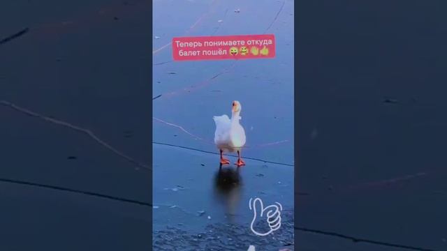 1000537430.mp4