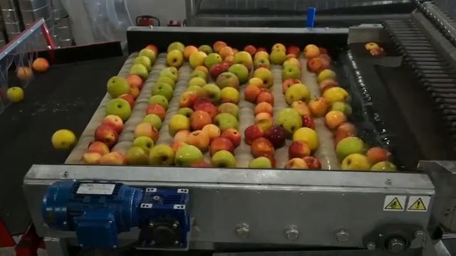 Предлагаем линии сортировки яблок собственного производства