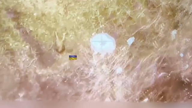 В последние недели на фронте начинают чаще светиться шведские двухзвенные гусеничные бронированные в